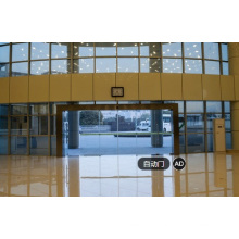 High Strength Aluminum Alloy Rail Automatic Sliding Door